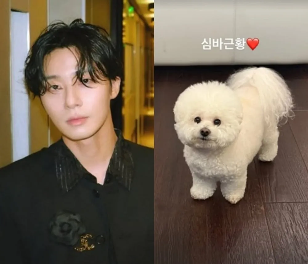 朴叙俊以温馨的狗更新平息了金秀贤的不和谣言