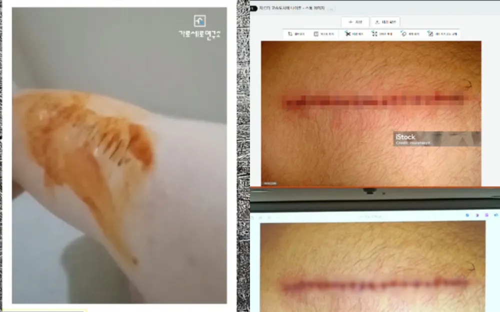 Whistleblower atzīst, ka ir izveidojis Kim Sae Ron audio failu, ko izlaidis Garo Sero Research Institute