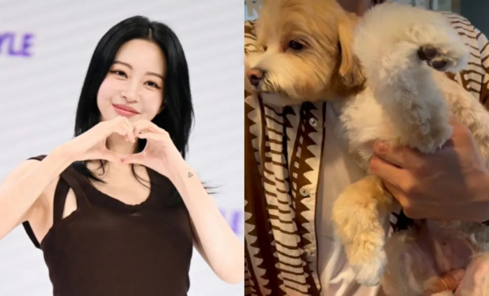 Han Ye Seul i sjokk etter at hunden ble mistet og skadet av personalet på dyrehotellet