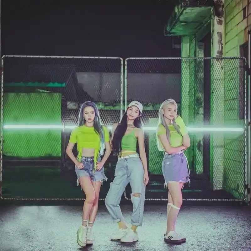Hồ sơ thành viên LIMESODA