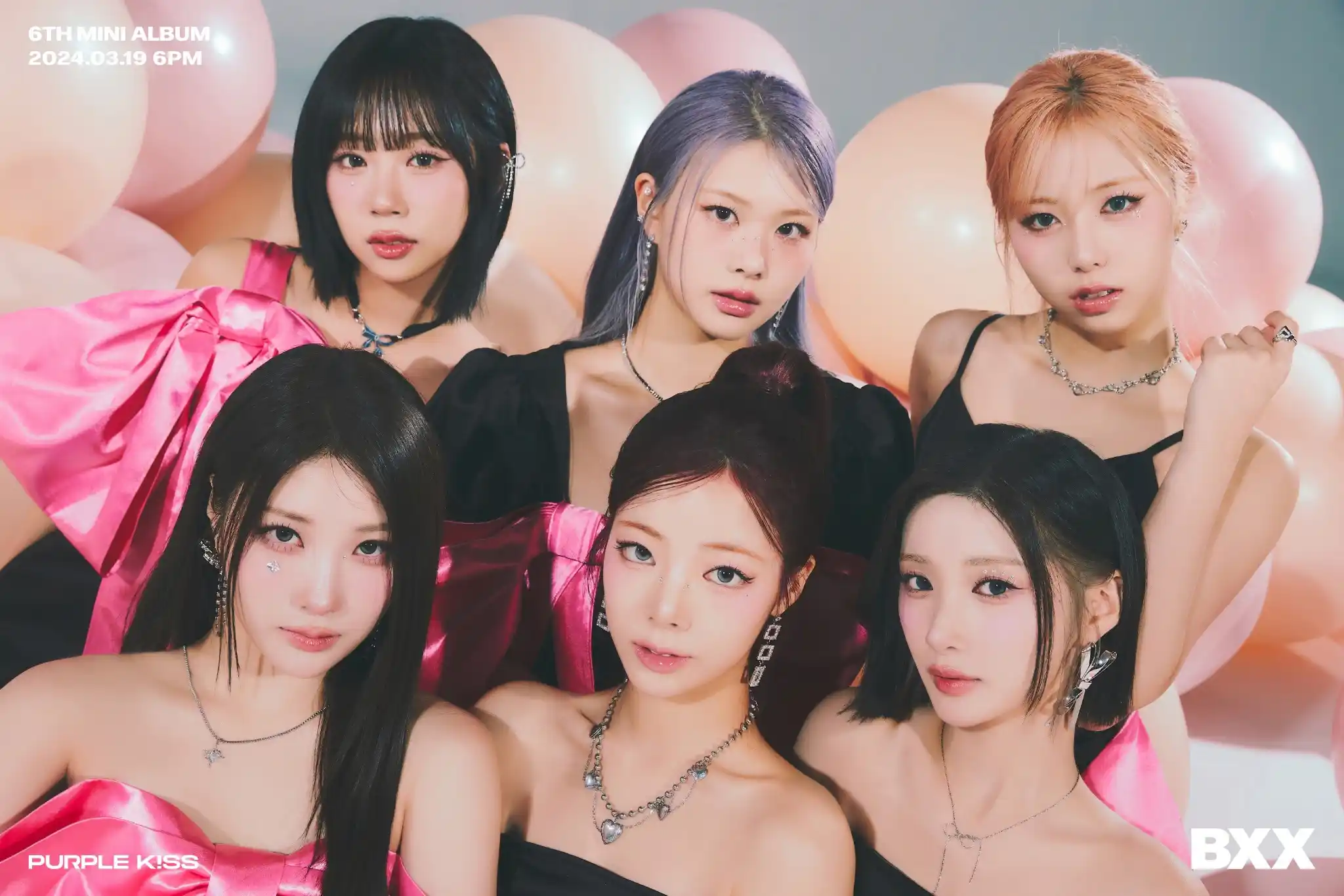 โปรไฟล์สมาชิก PURPLE KISS