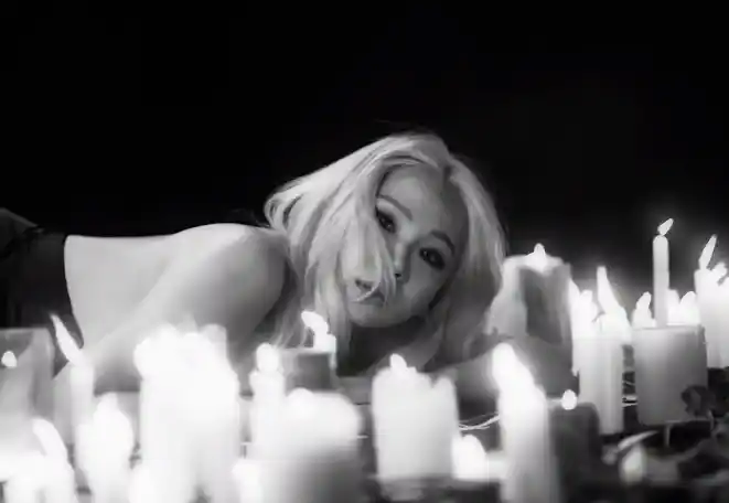 Профіль учасників 2NE1