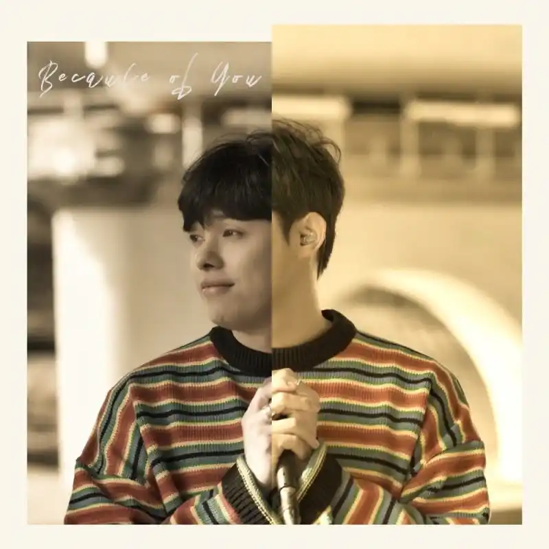 Profil și fapte Woosoo