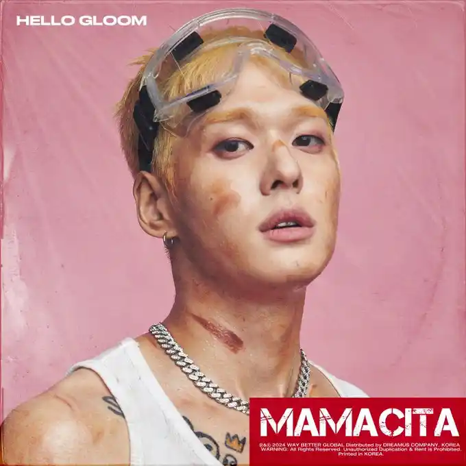 HELLO GLOOM 프로필 및 사실