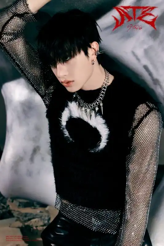 Profil de Bang Chan (enfants errants)